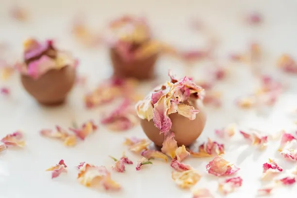 Coin365Bet Kazino Android/iOS Lietotne